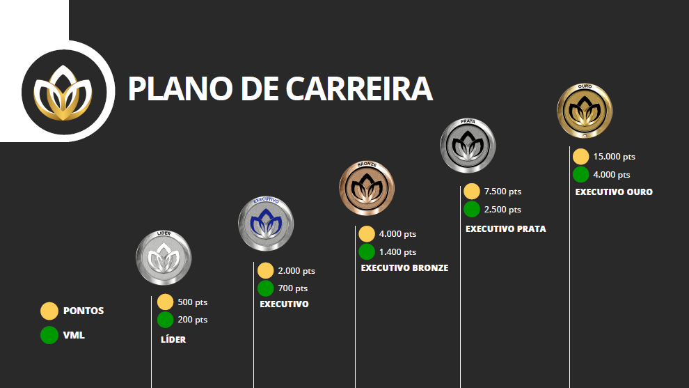 graduações zyone lider a ouro